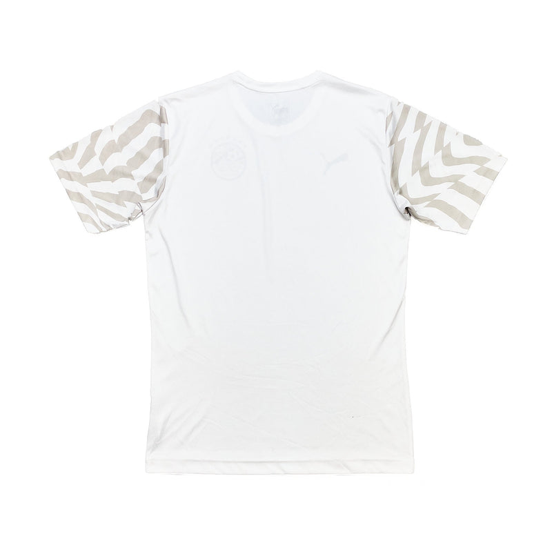 2019 Egypt Training Shirt (S) Puma