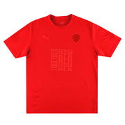 2022-23 Barnsley Puma Redout Shirt L - Classic Football Kit