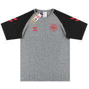 2022 Denmark Hummel PRO Seamless T-Shirt *BNIB* XL - Classic Football Kit