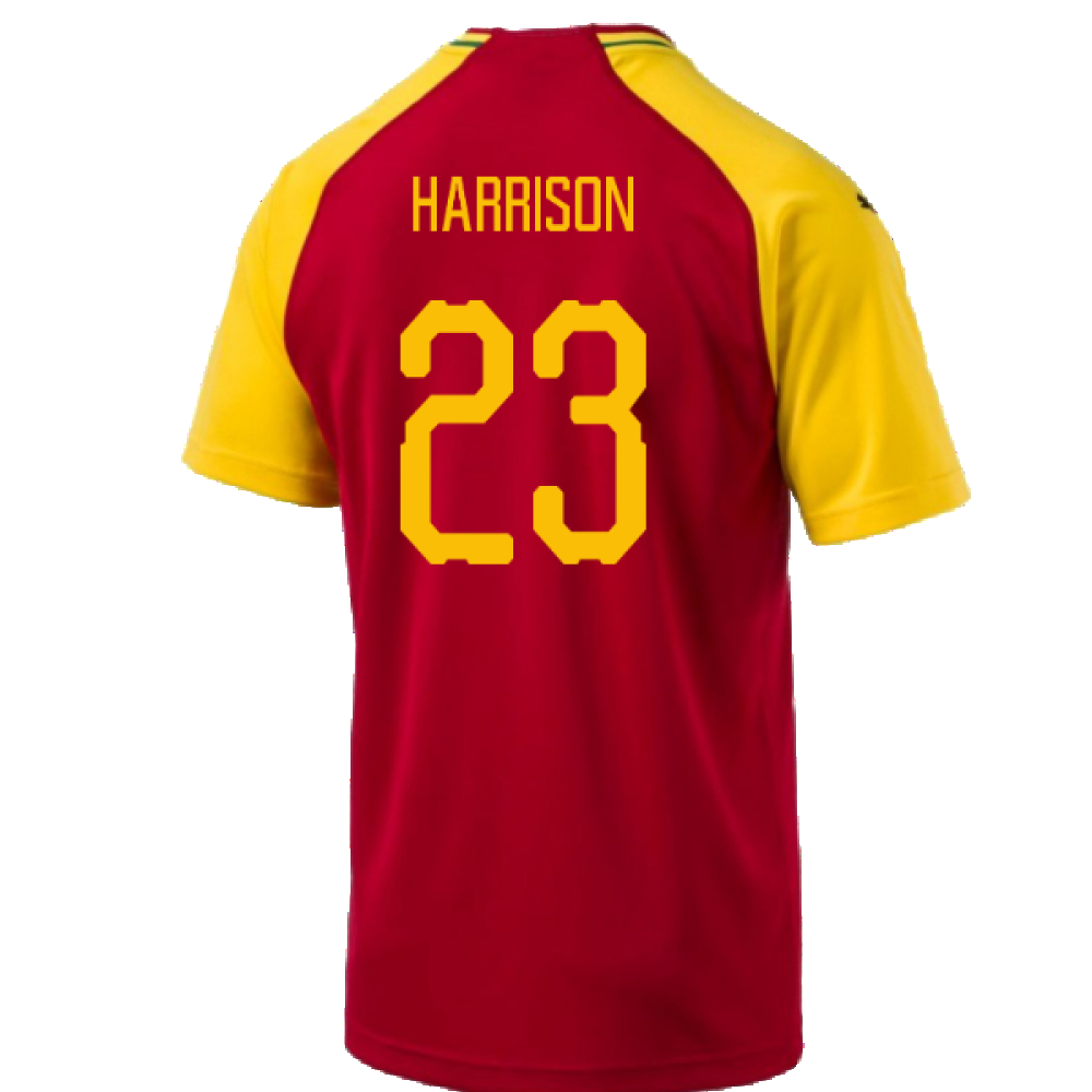 Ghana 2018-19 Home Shirt (L) (BNWT) (Harrison 23)_1