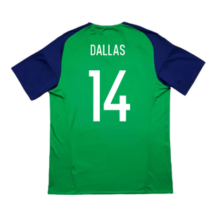 Northern Ireland 2016-17 Home Shirt (S) (Good) (Dallas 14)_1