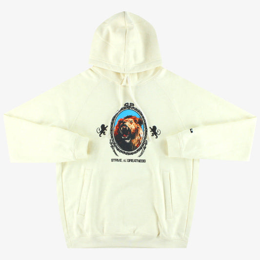Nike Lebron ‘Strive For Greatness’ Pullover Hoodie *w/tags* S