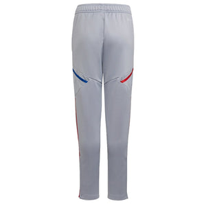 Lyon Training Pants (Halo Silver)_1