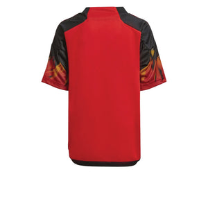 2022-2023 Belgium Home Mini Kit_1