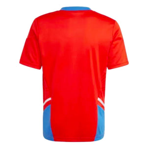 2022-2023 Bayern Munich Pro Training Jersey (Red)_1