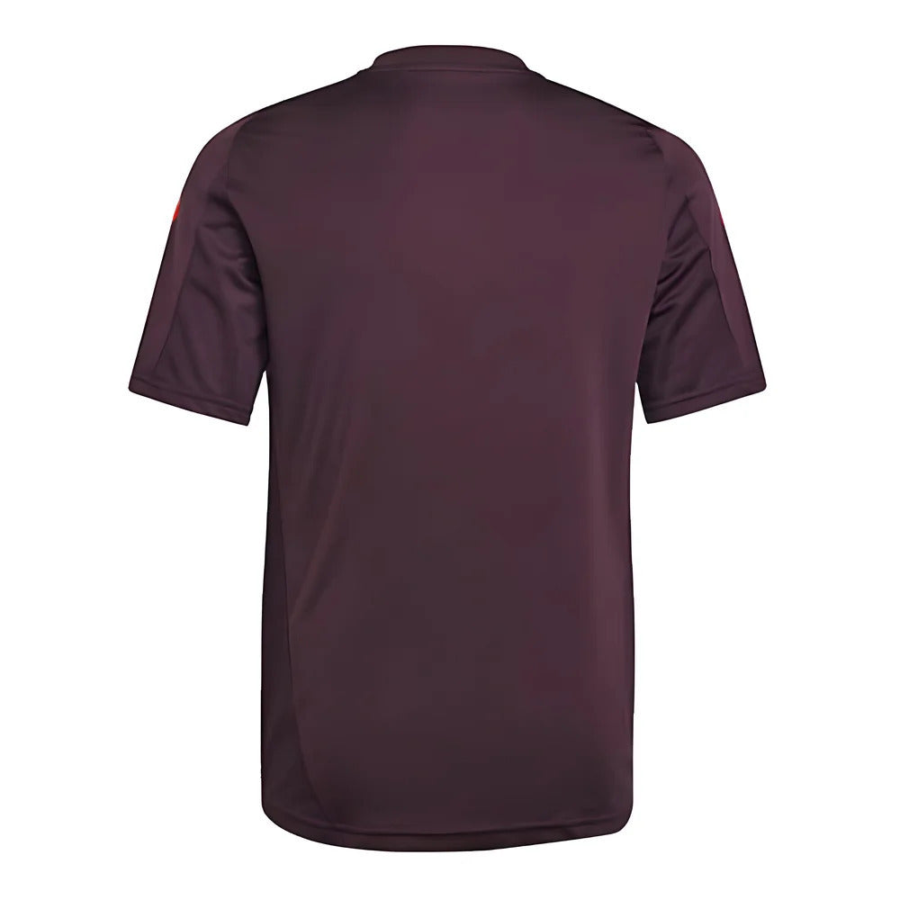 2024-2025 Bayern Munich Training Shirt (Shadow Maroon) - Kids_1