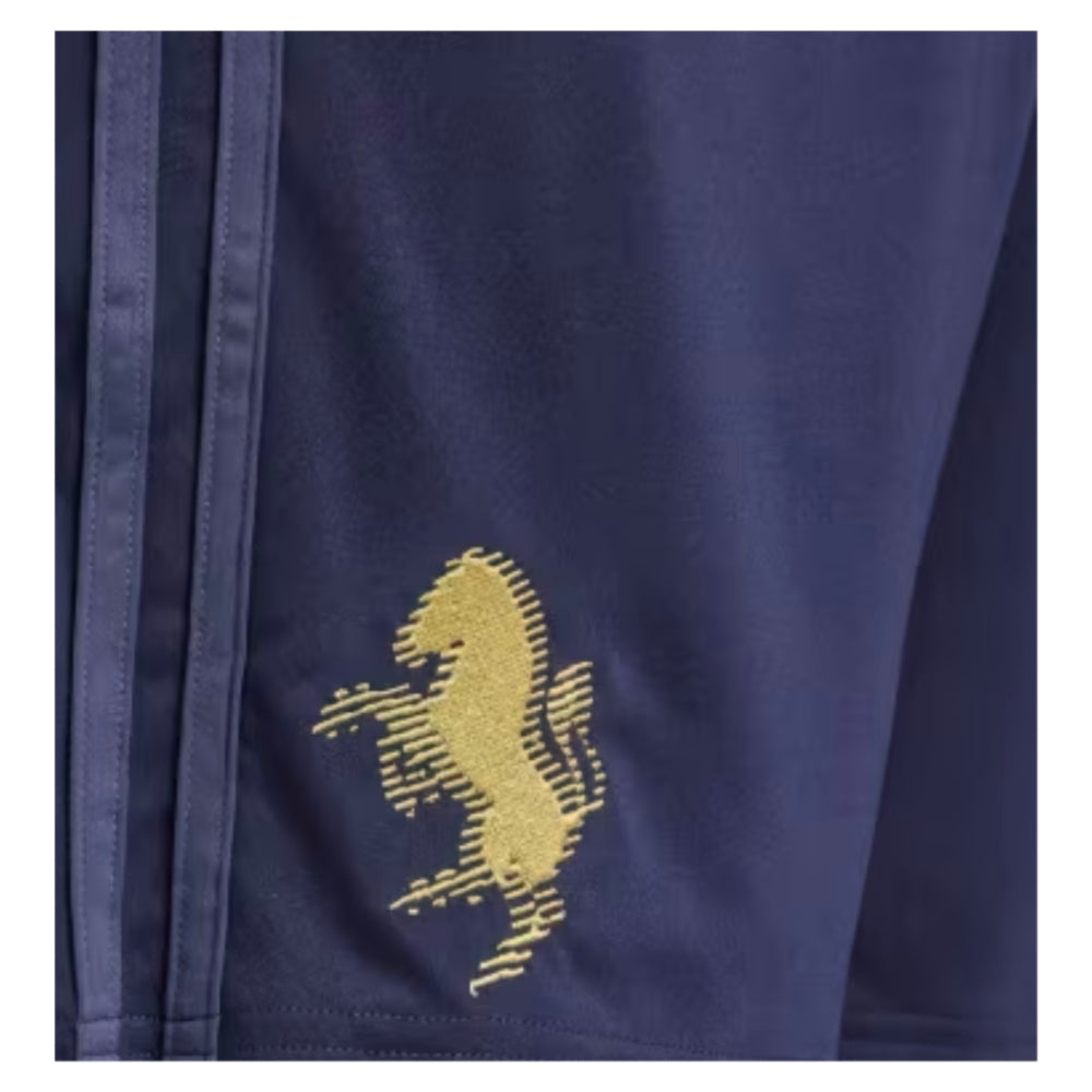 2024-2025 Juventus Third Shorts (Legend Ink)_1
