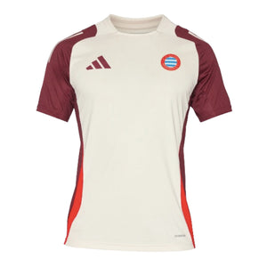 2024-2025 Bayern Munich EU Training Jersey (Linen)_0