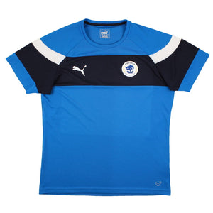 Chester 2014-15 Puma Training Shirt (L) (Very Good)_0