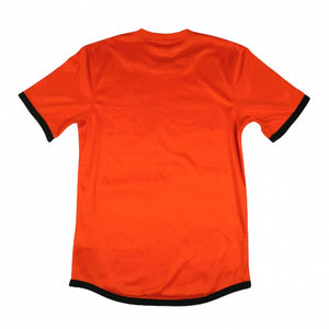 Holland 2012-13 Home Shirt (L) (Good)_1