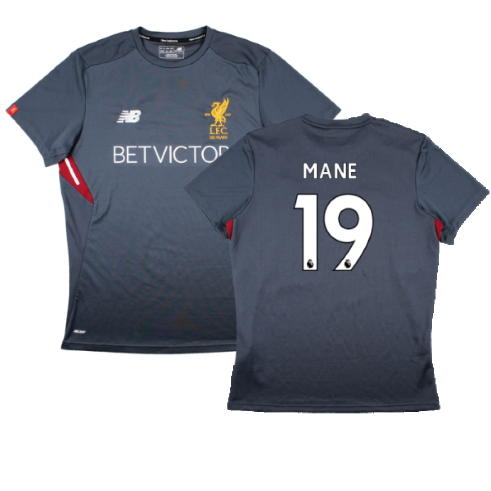 Liverpool 2017-18 New Balance Training Shirt (L) (Mane 19) (Excellent)_0