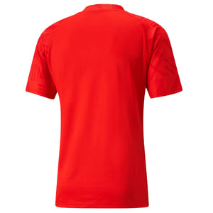 2022-2023 Ghana Pre Match Jersey (Red)_1